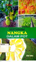 Bertanam Nangka Dalam Pot