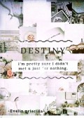 DESTINY
